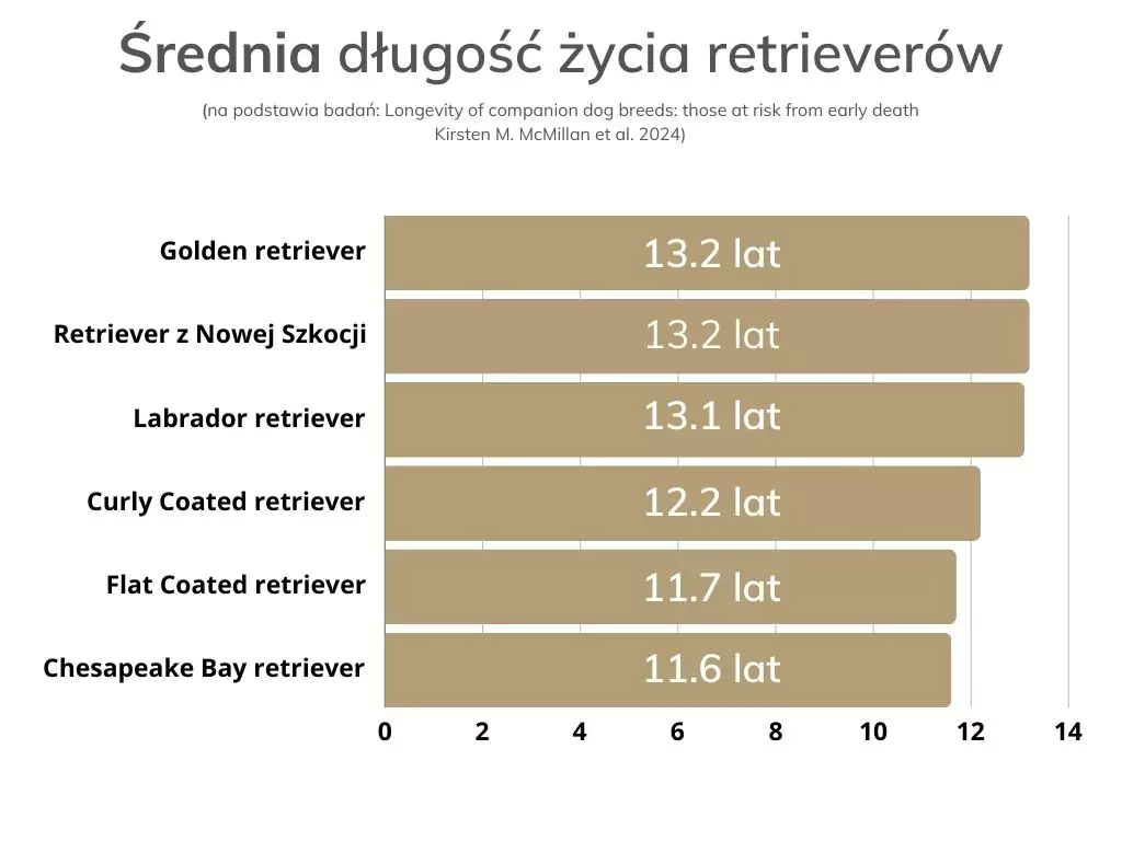 porównanie średniej długości życia retrieverów