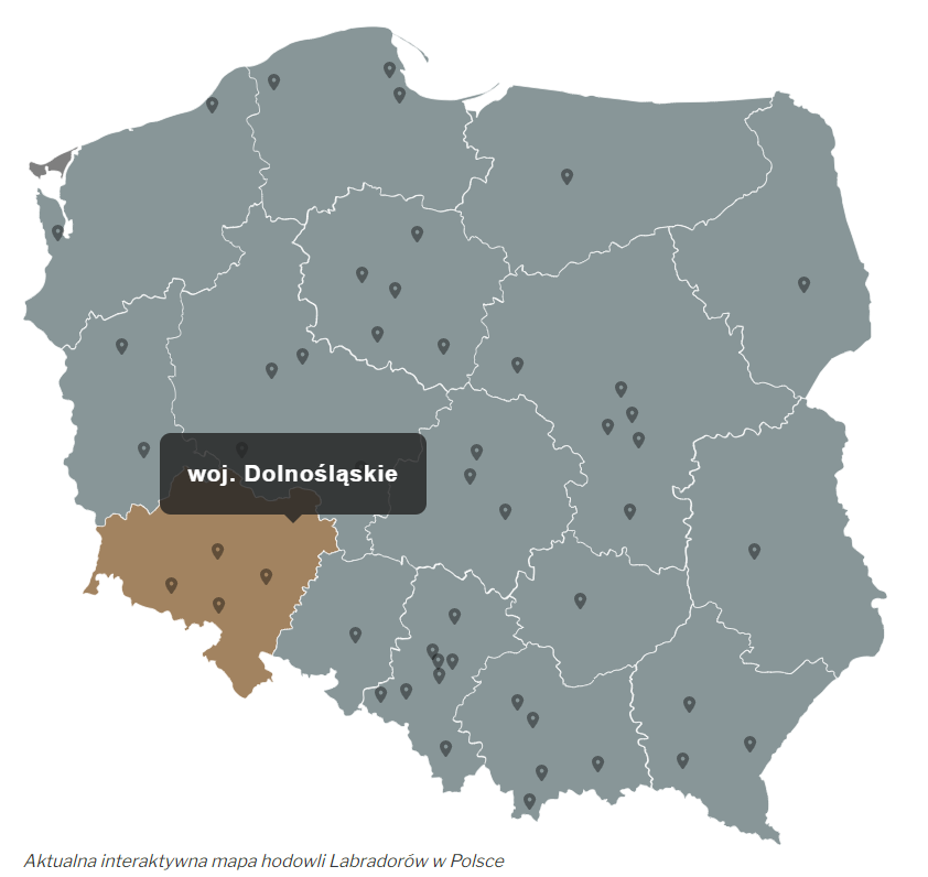 mapa hodowli Labradorów w Polsce