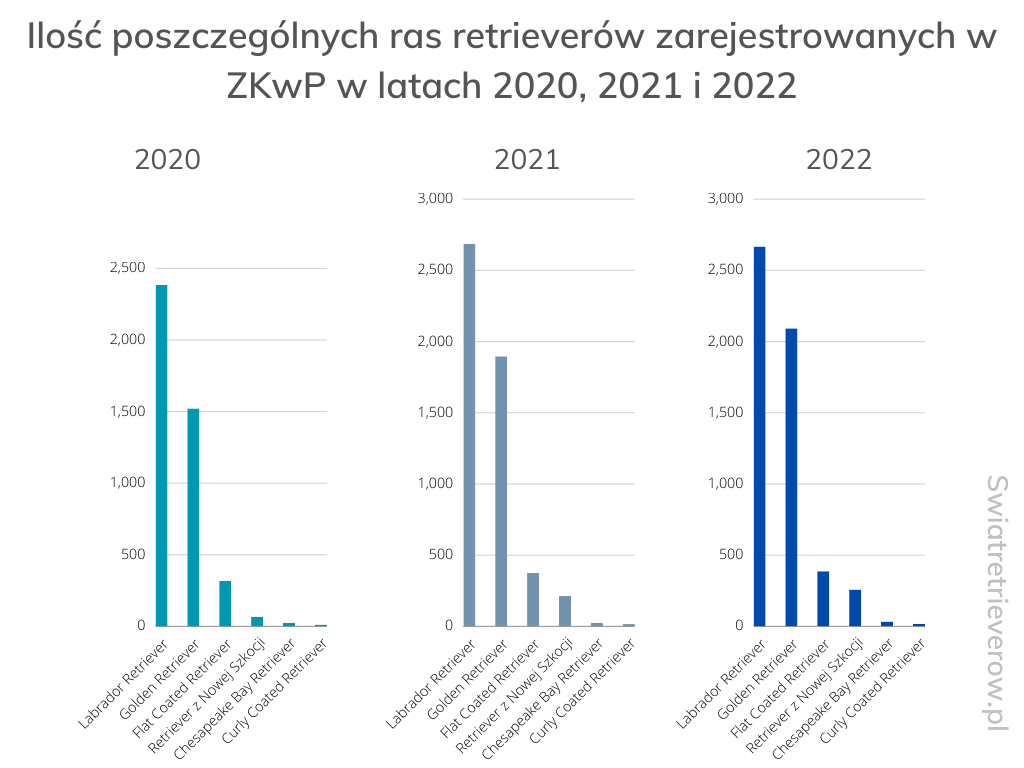 Ilość poszczególnych ras retrieverów zarejestrowanych w ZKwP w latach 2020, 2021, 2022