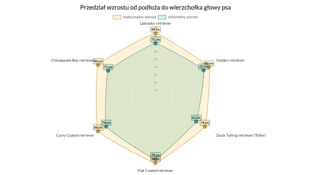 średni wzrost retrieverów podział na rasy