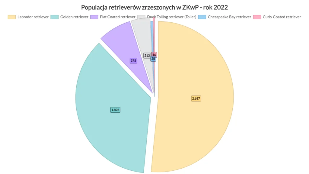 Populacja retrieverów zrzeszonych w ZKwP podzielona na rasy