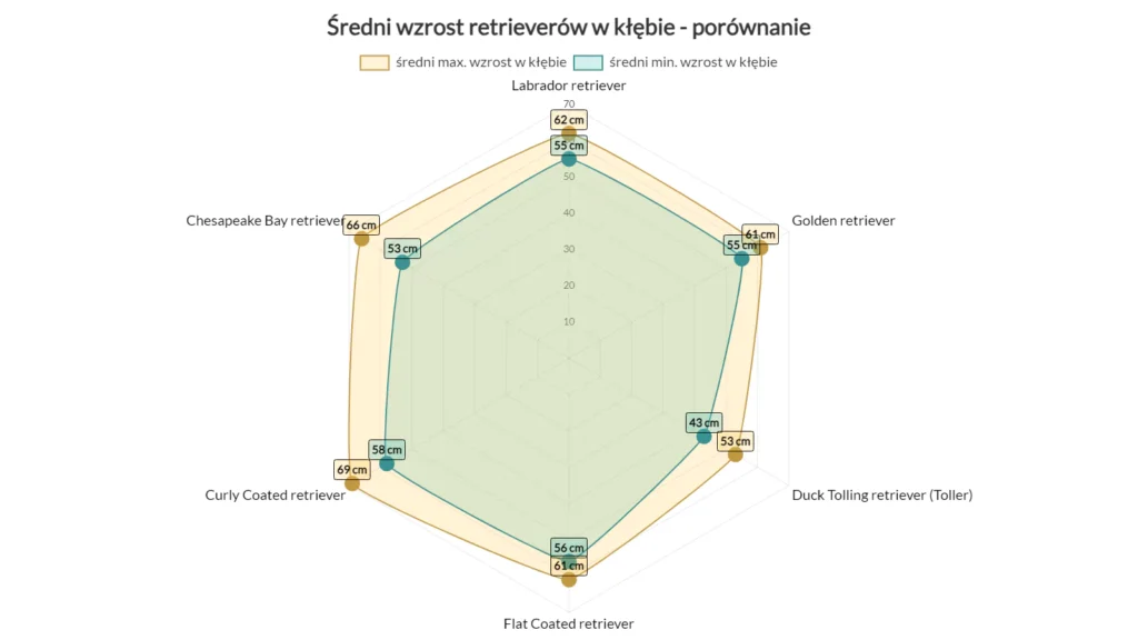 średni wzrost retrieverów podział na rasy