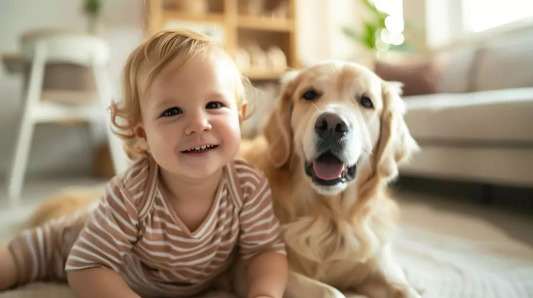 Golden retriever i dzieci: zalety i wady Goldenów w dużej rodzinie