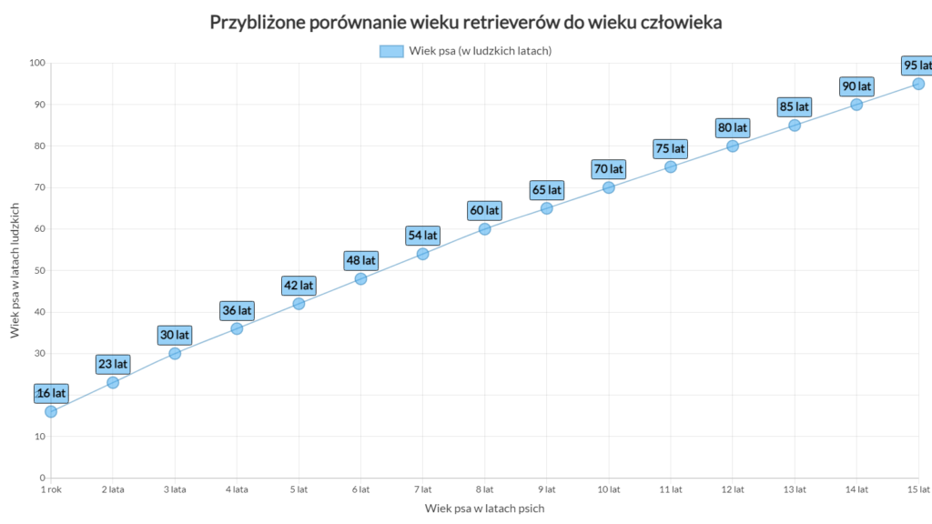 przybliżone porównanie wieku retrieverów do wieku człowieka