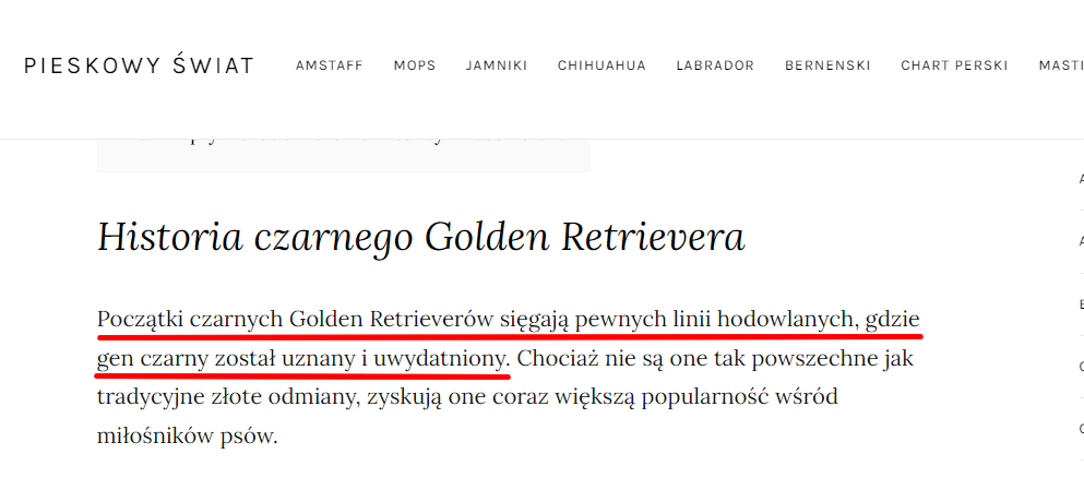 czarny golden opis niepoprawny