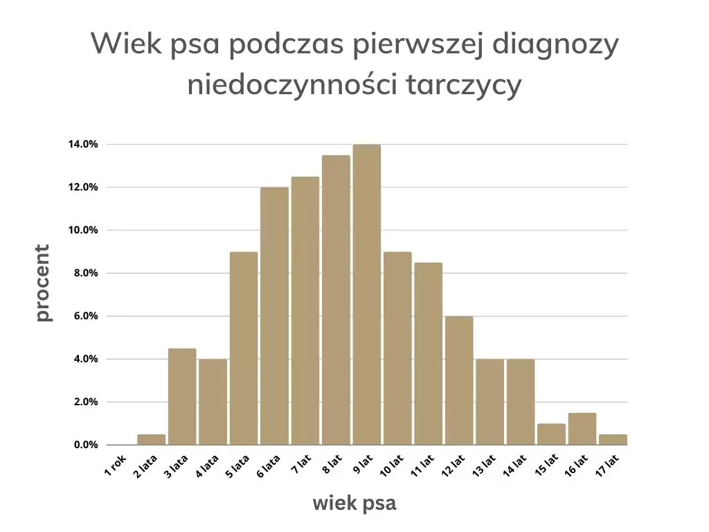 wiek psa podczas pierwszej diagnozy niedoczynności tarczycy