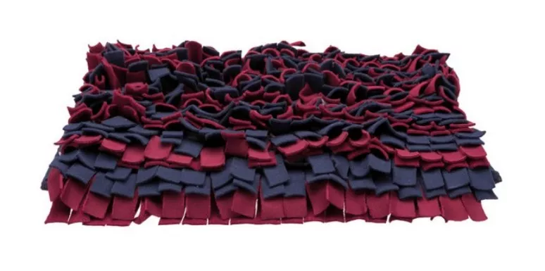 mata węchowa dla psów