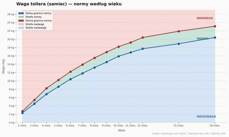 Grafika wzrostu wagi tollera samca według wieku 