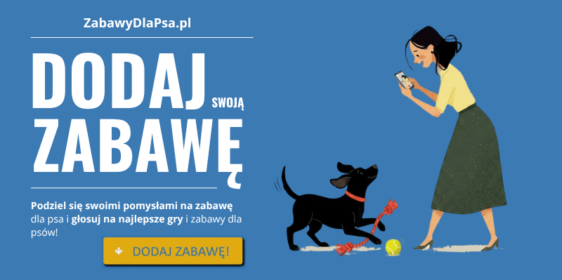 Zabawy dla psa – wielka baza gier i zabaw dla psów na każdy dzień