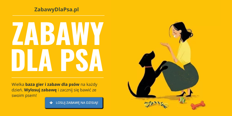 Zabawy dla psa – wielka baza gier i zabaw dla psów na każdy dzień