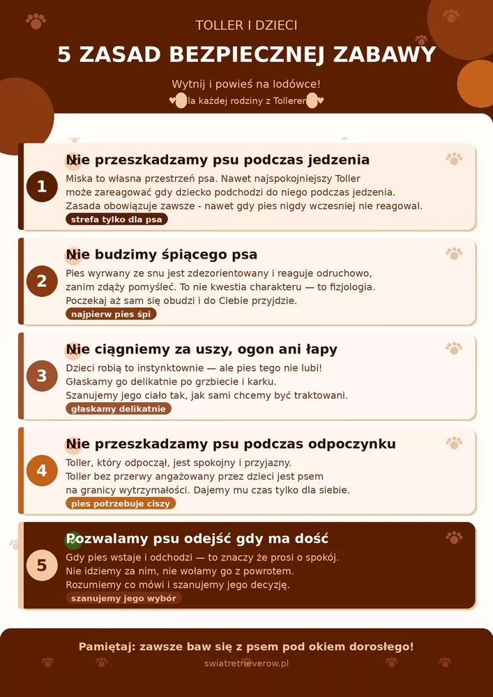 5 zasad bezpiecznej zabawy z Tollerem dla dzieci - infografika