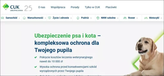 Ubezpieczenie dla retrievera – CUK Ubezpieczenia