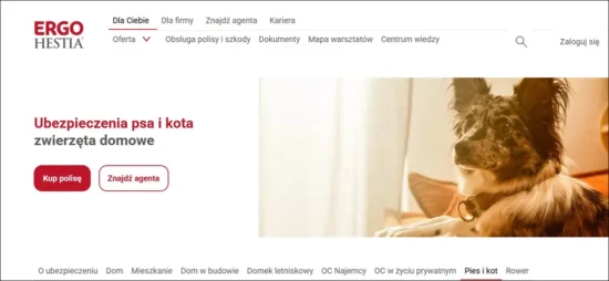 Ubezpieczenie zdrowotne dla retrievera – ERGO Hestia