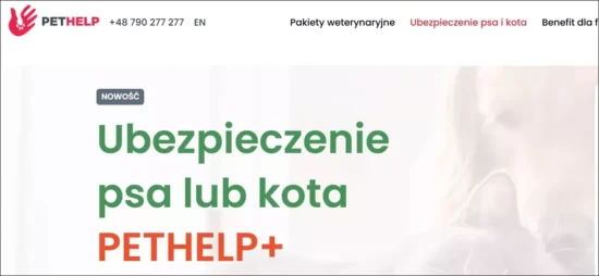 Ubezpieczenie zdrowotne dla retrievera – PetHelp+